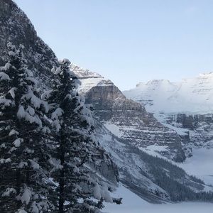 Meet your Posher, Renee